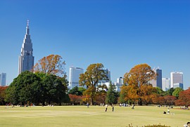 イギリス風景式庭園広場